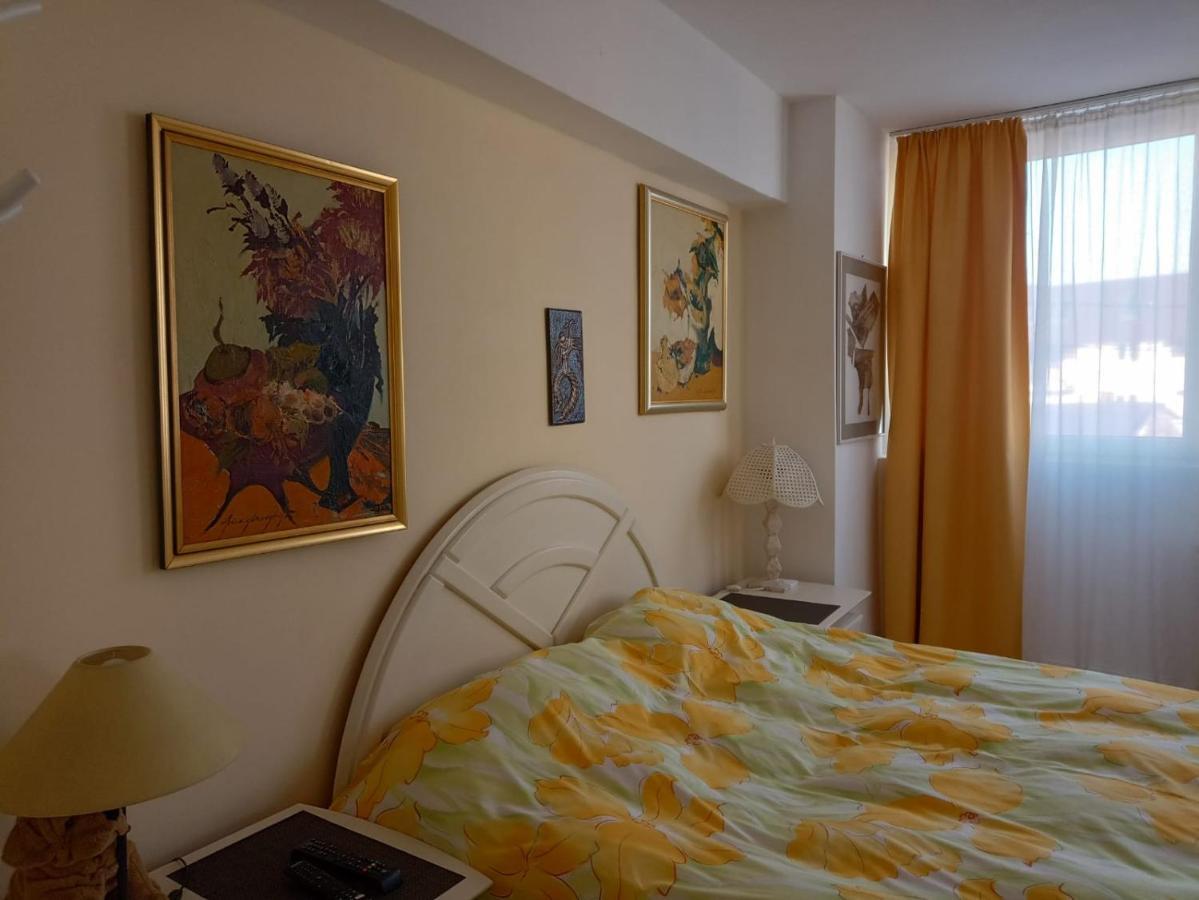 Two Bedroom Farmec Appartamento Cluj-Napoca